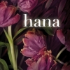 Review: Hana by Lauren Oliver