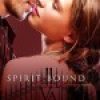 Review: Spirit Bound by Richelle Mead