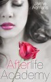 Cover Reveal: Afterlife Academy by Jaimie Admans